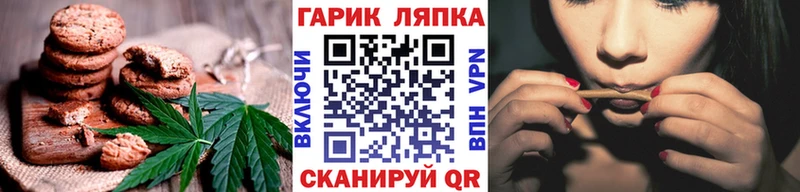 как найти наркотики  Болохово  omg как зайти  Canna-Cookies конопля 