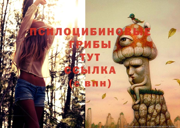mix Беломорск